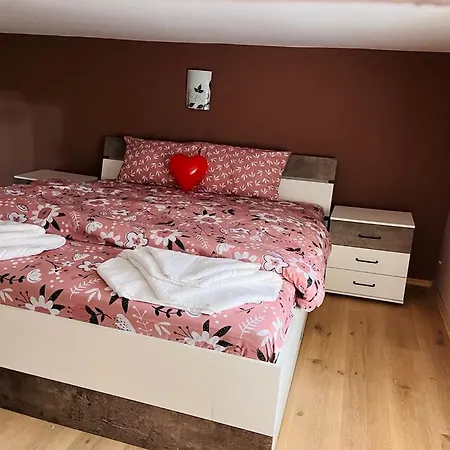 за гости николови