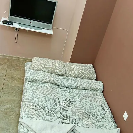 за гости николови *