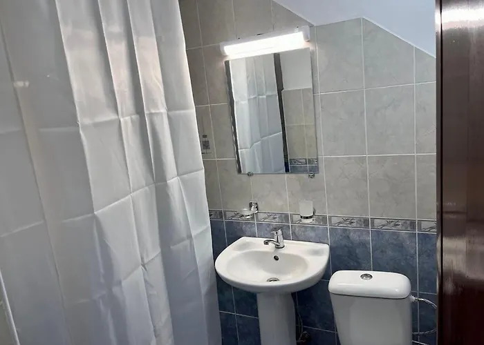 за гости николови *