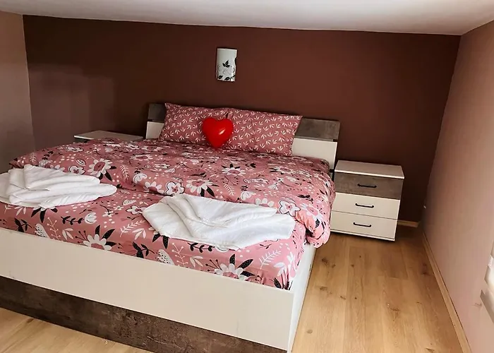 за гости николови